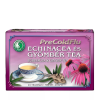  DR. CHEN PRECOLDFLU ECHINACEA GYÖMBÉR TEA 20X 2G