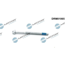 Dr.Motor Automotive Csavar, befecskendező fúvóka tartó Dr.Motor Automotive DRM01065 autóalkatrész