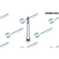 Dr.Motor Automotive Csavar, befecskendező fúvóka tartó Dr.Motor Automotive DRM01093 autóalkatrész