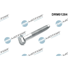 Dr.Motor Automotive Csavar, befecskendező fúvóka tartó Dr.Motor Automotive DRM01284 autóalkatrész