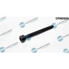Dr.Motor Automotive Csavar, befecskendező fúvóka tartó Dr.Motor Automotive DRM0609 autóalkatrész