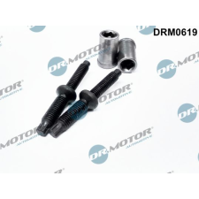 Dr.Motor Automotive Csavar, befecskendező fúvóka tartó Dr.Motor Automotive DRM0619 autóalkatrész