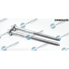 Dr.Motor Automotive Csavar, befecskendező fúvóka tartó Dr.Motor Automotive DRM0623S autóalkatrész