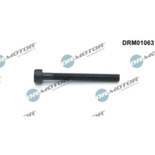 Dr.Motor Automotive Csavar, befecskendező fúvóka tartó DRM01063 autóalkatrész