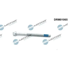 Dr.Motor Automotive Csavar, befecskendező fúvóka tartó DRM01065 autóalkatrész