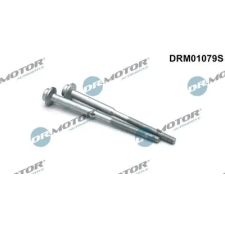 Dr.Motor Automotive Csavar, befecskendező fúvóka tartó DRM01079S autóalkatrész