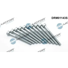 Dr.Motor Automotive Csavar, befecskendező fúvóka tartó DRM01143S autóalkatrész