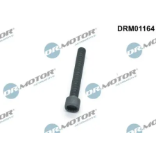 Dr.Motor Automotive Csavar, befecskendező fúvóka tartó DRM01164 autóalkatrész