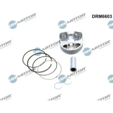 Dr.Motor Automotive dugattyú DRM6603 autóalkatrész