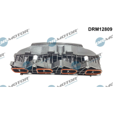 Dr.Motor Automotive szívócső modul Dr.Motor Automotive DRM12809 autóalkatrész