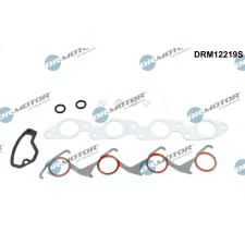 Dr.Motor Automotive teljes tömítéskészlet, motor Dr.Motor Automotive DRM12219S autóalkatrész