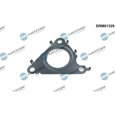 Dr.Motor Automotive tömítés, AGR szelep Dr.Motor Automotive DRM01329 autóalkatrész