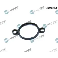 Dr.Motor Automotive Tömítés, állító elem (excenteres tengely) DRM02125 autóalkatrész