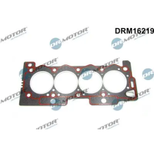 Dr.Motor Automotive tömítés, hengerfej DRM16219 autóalkatrész