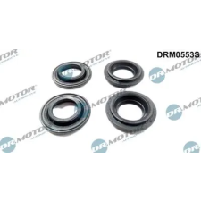 Dr.Motor Automotive tömítés, porlasztócsúcs-tartó DRM0553S autóalkatrész