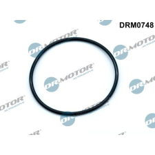 Dr.Motor Automotive tömítés, vákuumszivattyú Dr.Motor Automotive DRM0748 autóalkatrész