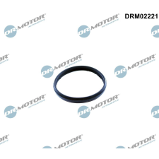 Dr.Motor Automotive tömítés, vezérműlánc-feszítő Dr.Motor Automotive DRM02221 autóalkatrész