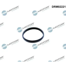 Dr.Motor Automotive tömítés, vezérműlánc-feszítő DRM02221 autóalkatrész