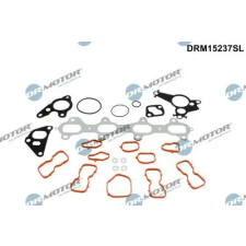 Dr.Motor Automotive tömítéskészlet, hengerfej DRM15237SL autóalkatrész