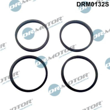 Dr.Motor Automotive tömítéskészlet, szívókönyök Dr.Motor Automotive DRM0132S autóalkatrész