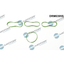 Dr.Motor Automotive tömítéskészlet, szívókönyök Dr.Motor Automotive DRM0395S autóalkatrész