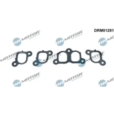 Dr.Motor Automotive tömítéskészlet, szívókönyök DRM01291 autóalkatrész