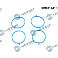 Dr.Motor Automotive tömítéskészlet, szívókönyök DRM01441S autóalkatrész