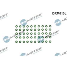 Dr.Motor Automotive tömítőgyűrű, befecskendező szelep Dr.Motor Automotive DRM010L autóalkatrész