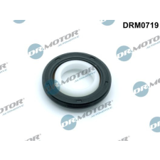 Dr.Motor Automotive tömítőgyűrű, főtengely Dr.Motor Automotive DRM0719 autóalkatrész