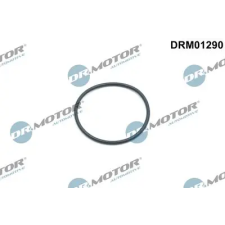 Dr.Motor Automotive Tömítőgyűrű, vezérműlánc feszítő DRM01290 autóalkatrész