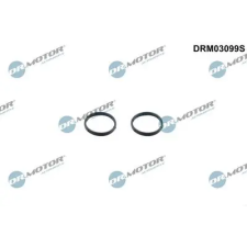 Dr.Motor Automotive Tömítőkészlet, olajszivattyú DRM03099S autóalkatrész