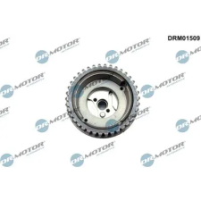 Dr.Motor Automotive vezérműtengely-állító DRM01509 autóalkatrész