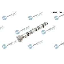 Dr.Motor Automotive vezérműtengely DRM02872 autóalkatrész