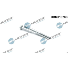 Dr.Motor Csavar, befecskendező fúvóka tartó DR. MOTOR DRM01078S autóalkatrész