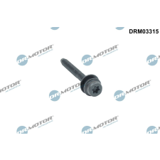Dr.Motor Csavar, befecskendező fúvóka tartó DR. MOTOR DRM03315 autóalkatrész