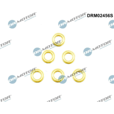 Dr.Motor Hővédő lemez, befecskendező rendszer DR. MOTOR DRM02456S autóalkatrész