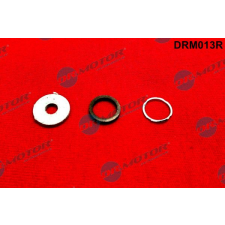 Dr.Motor javítókészlet, common rail DR. MOTOR DRM013R autóalkatrész