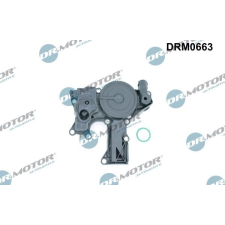 Dr.Motor Olajleválasztó, forgattyúsház szellőztetés DR. MOTOR DRM0663 autóalkatrész