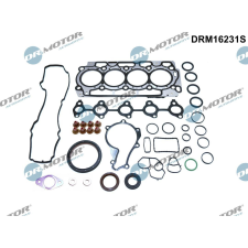 Dr.Motor teljes tömítéskészlet, motor DR. MOTOR DRM16231S autóalkatrész