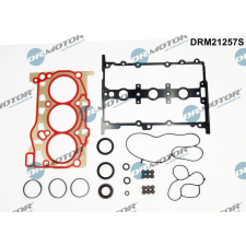 Dr.Motor teljes tömítéskészlet, motor DR. MOTOR DRM21257S autóalkatrész
