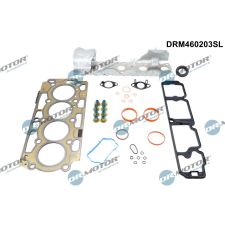 Dr.Motor teljes tömítéskészlet, motor DR. MOTOR DRM460203SL autóalkatrész