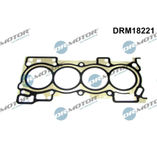 Dr.Motor tömítés, hengerfej DR. MOTOR DRM18221 autóalkatrész