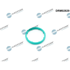 Dr.Motor tömítés, olajhűtő DR. MOTOR DRM02829 autóalkatrész