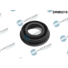 Dr.Motor tömítés, porlasztócsúcs-tartó DR. MOTOR DRM0219 autóalkatrész