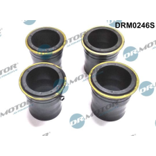 Dr.Motor tömítés, porlasztócsúcs-tartó DR. MOTOR DRM0246S autóalkatrész