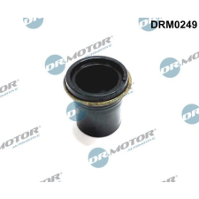 Dr.Motor tömítés, porlasztócsúcs-tartó DR. MOTOR DRM0249 autóalkatrész