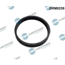 Dr.Motor Tömítés, turbina bevezetés (töltő) DR. MOTOR DRM0258 autóalkatrész