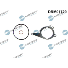 Dr.Motor tömítés, vákuumszivattyú DR. MOTOR DRM01720 autóalkatrész