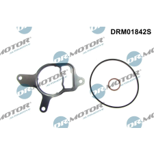 Dr.Motor Tömítéskészlet, vákuumszivattyú DR. MOTOR DRM01842S autóalkatrész