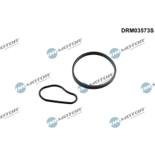 Dr.Motor Tömítéskészlet, vákuumszivattyú DR. MOTOR DRM03573S autóalkatrész